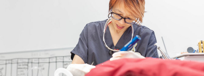 Image of a vet doing a dental for article on four stages of dental disease in cats and dogs