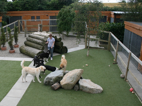 Image of dog boarding kennels in Ireland
