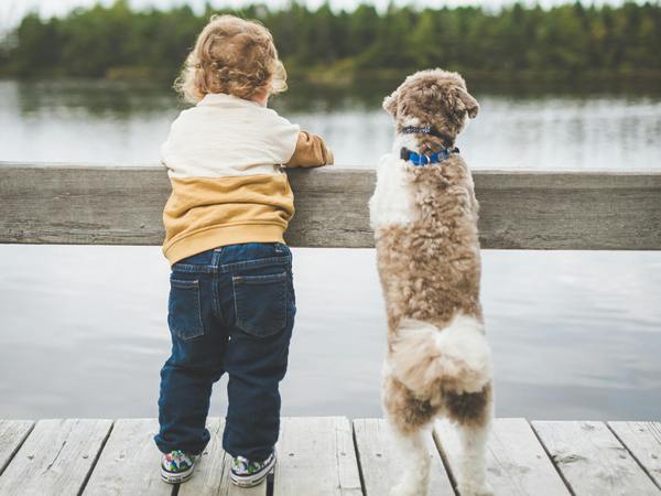 Image of a toddler and dog for article on dog facts