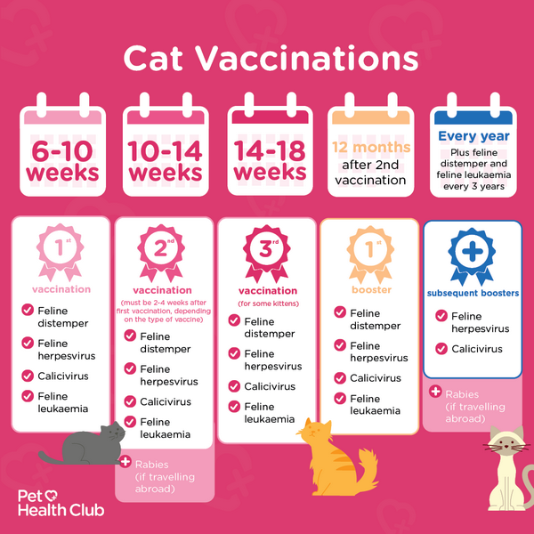 Image showing kitten vaccination schedule 