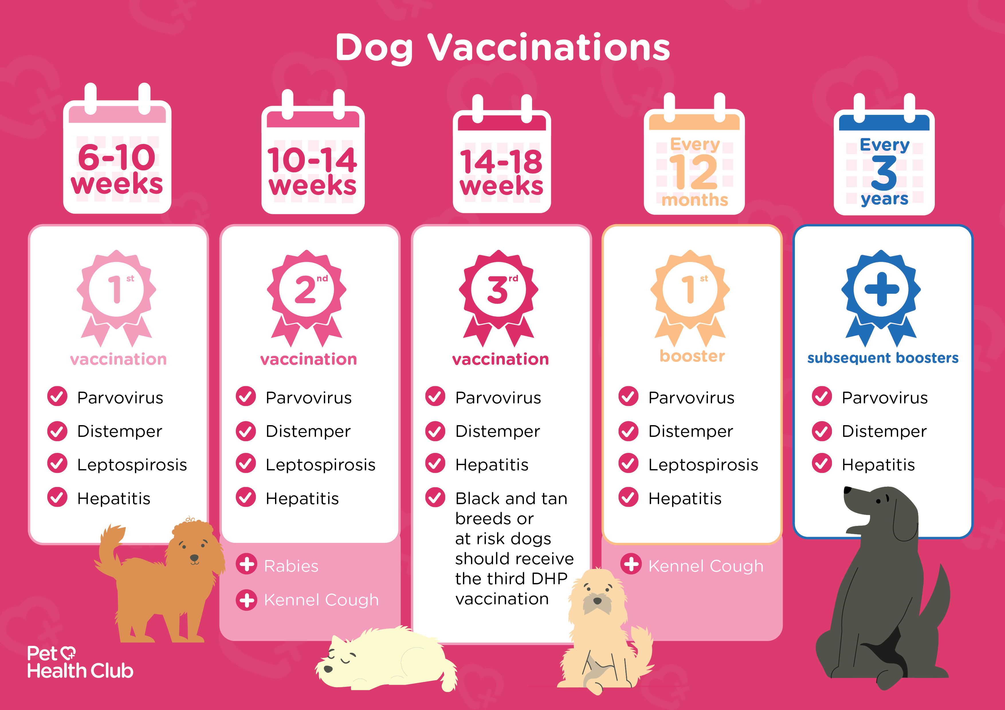 puppy vaccination schedule