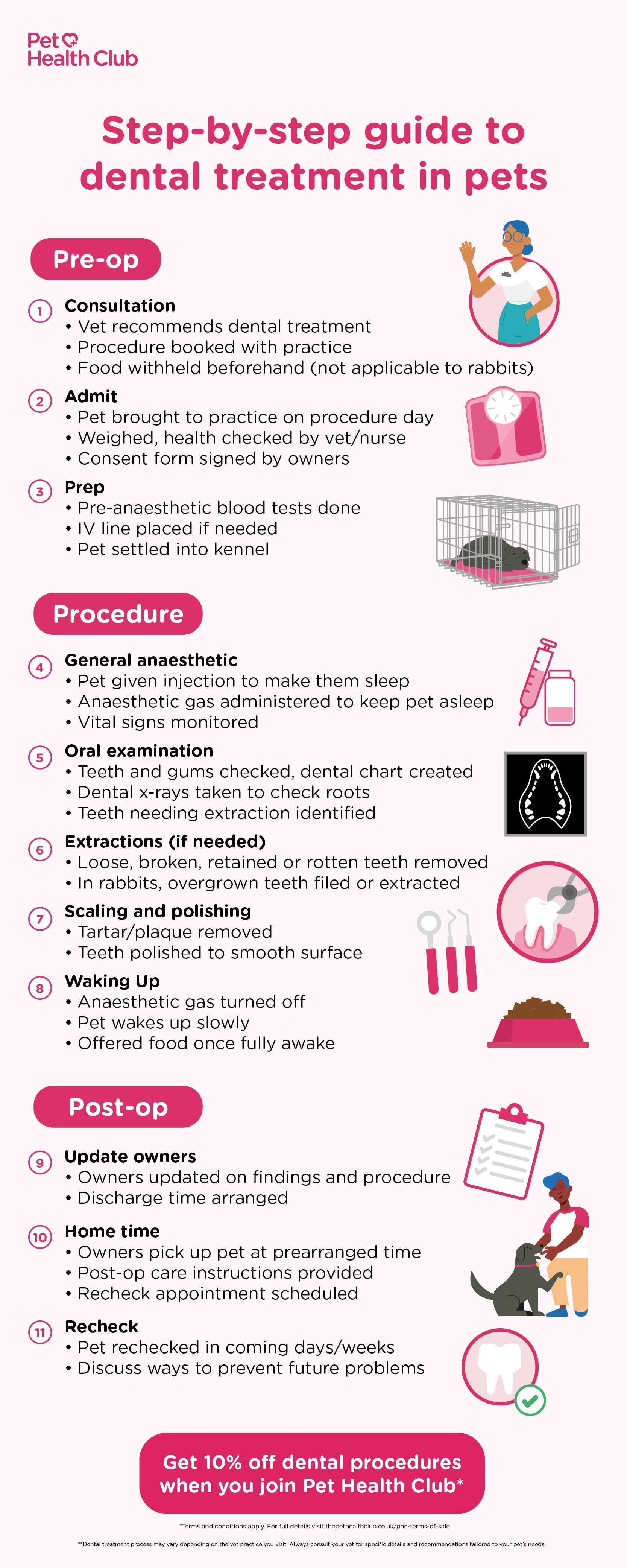 Infographic explaining the steps taken during dental treatment for pets: pre-op consultation, anaesthesia, extractions, scaling, polishing, and post-op care for dogs, cats, and rabbits.