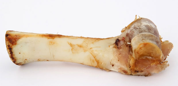 a cooked bone