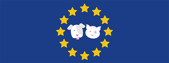 brexit and the pet passport scheme hero image