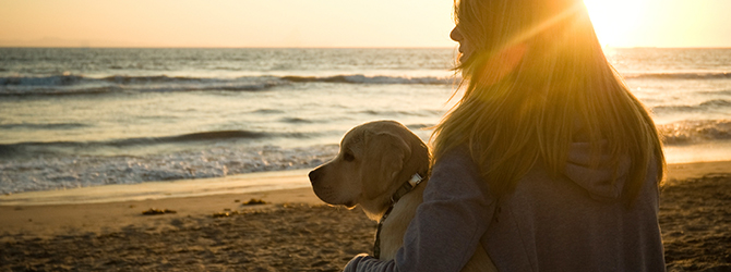 Image of owner and dog on the beach