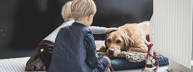 Image of family with dog for article on should I get a dog