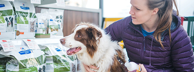 dog and owner looking at food selection