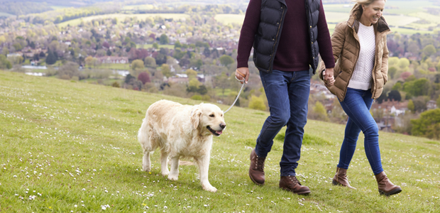 Couple walking dog for article on money saving tips for dog owners