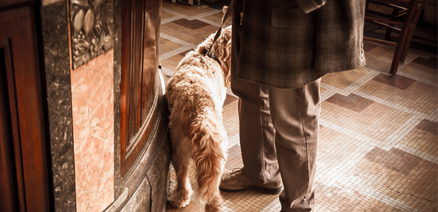 dog on the lead in a pub for articles on UK holidays with dogs