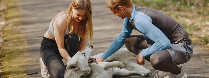 Dog and family out for a run in spring for article on dog enrichment ideas