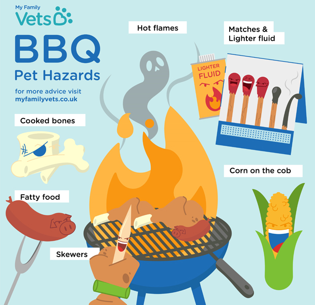 bbq-pet-hazards-infographic