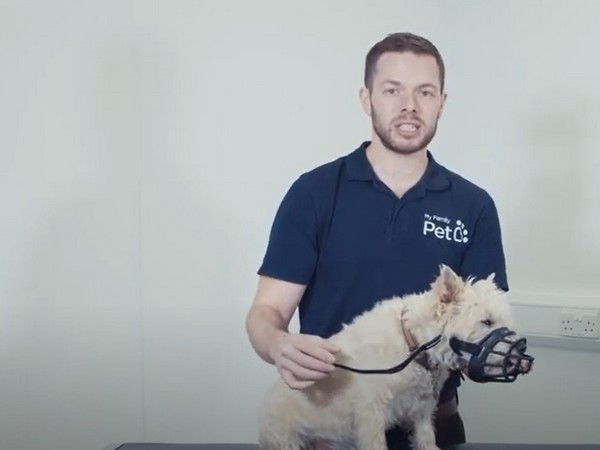 man with dog who has been muzzled for article on muzzle training a dog