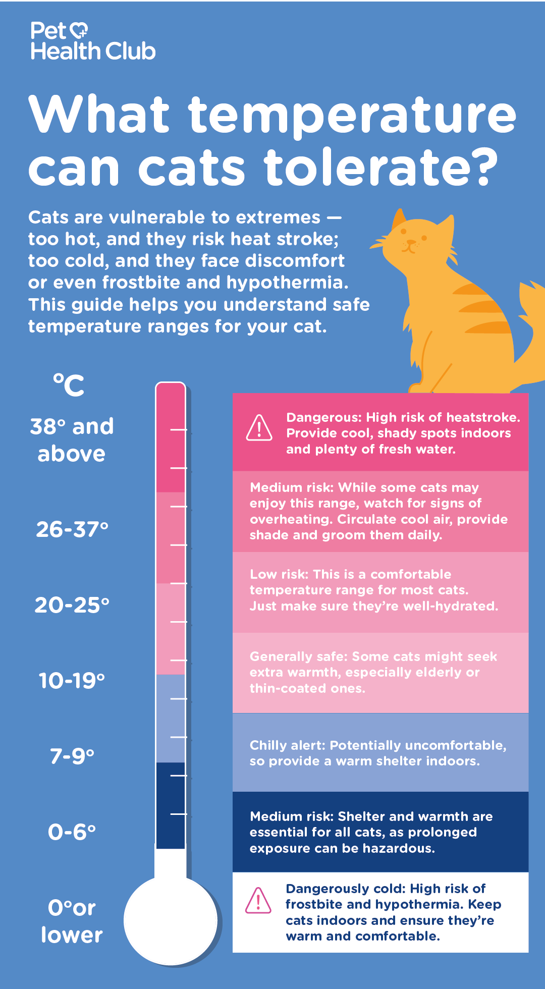 do cats get cold infographic