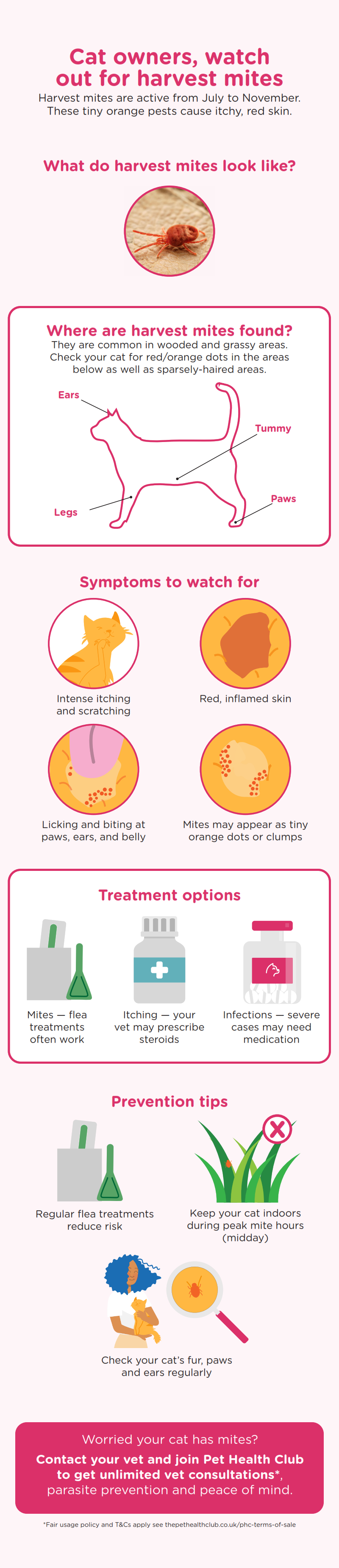 Infographic showing dangers of harvest mites to cats