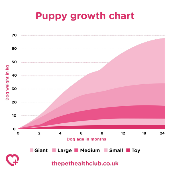 puppy growth chart