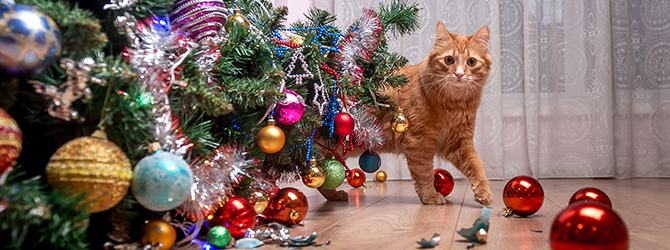 Photo of a ginger cat next to a toppled Christmas tree decorated with colourful ornaments, illustrating common holiday challenges for pet owners