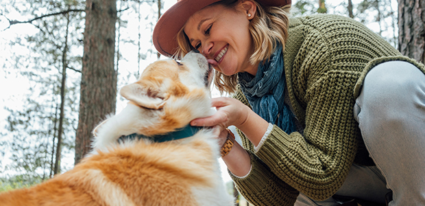 Pet love language displayed in a joyful but slightly sloppy moment as a dog gives their owner a big lick on the face.