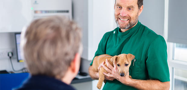 Vet telling owner how often to feed a puppy