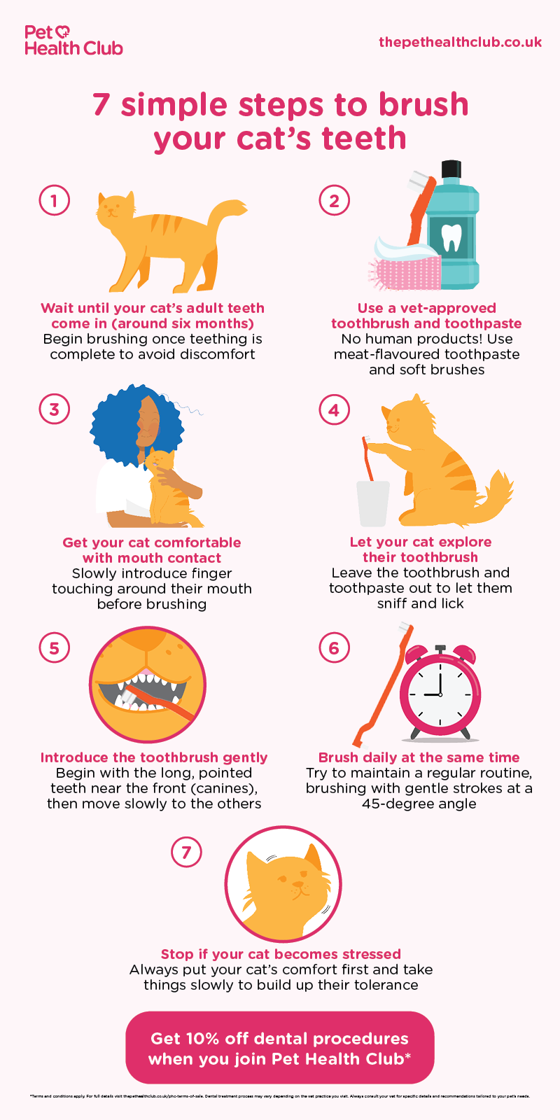 Infographic guide to brushing cats’ teeth for healthy gums, teeth cleaning, and dental care.