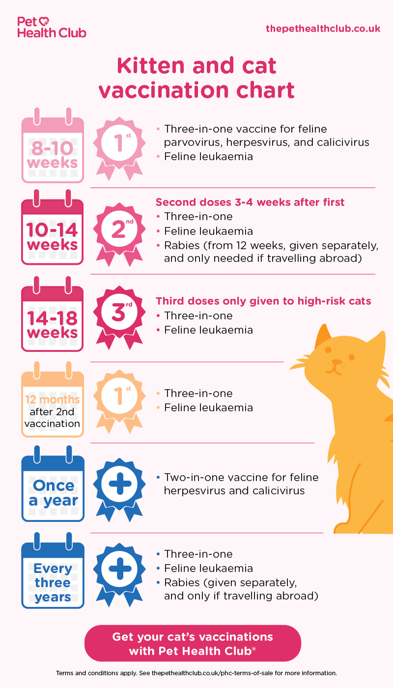 Kitten and cat vaccination schedule by Pet Health Club, from 8-10 weeks to annual boosters. Includes vaccines for feline parvovirus, herpesvirus, calicivirus, and feline leukaemia, plus optional rabies for travel.