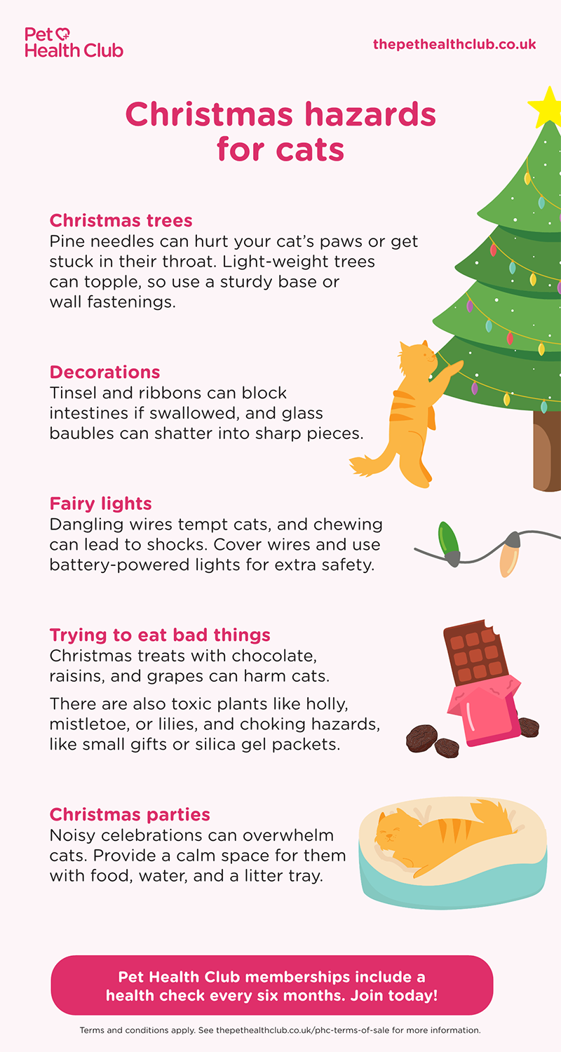 Infographic showing some Christmas dangers faced by cats, such as toppleable Christmas trees, shatterable ornaments, chewable electric lights, and more.