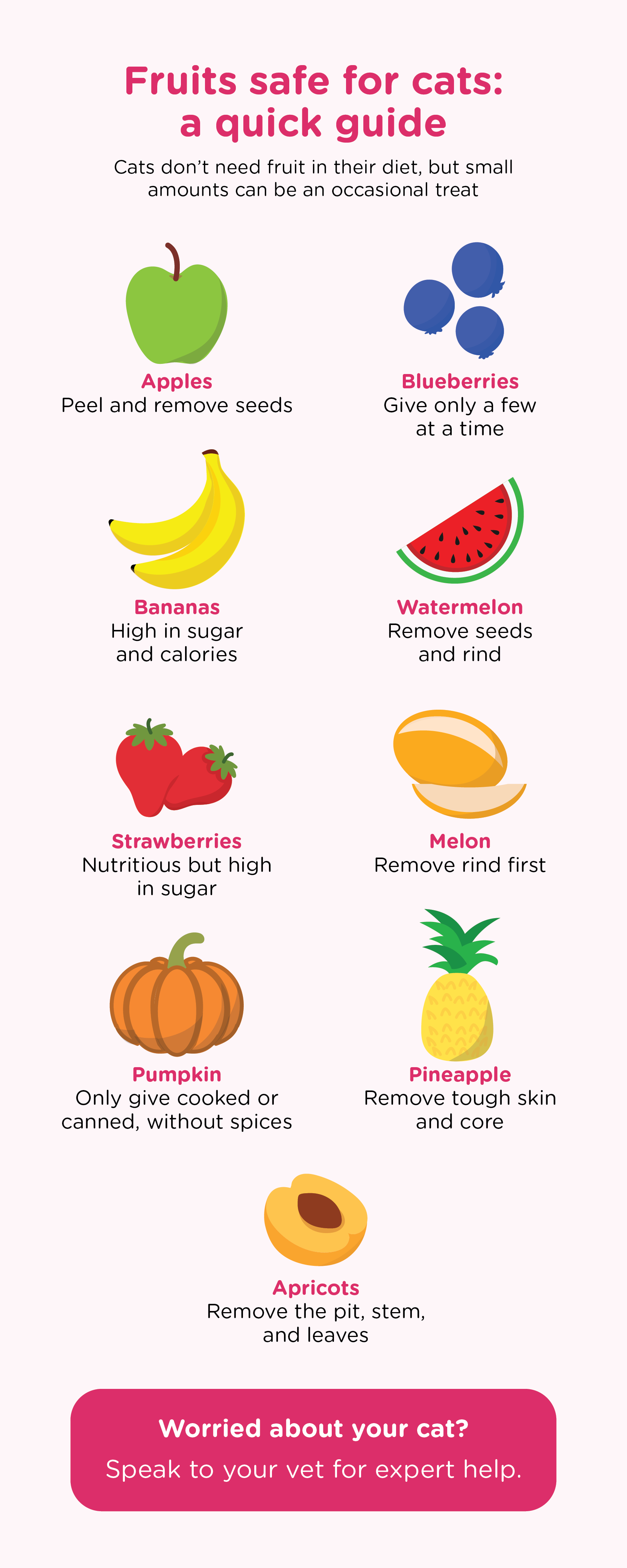 Infographic accompanying an article on safe fruits for cats, quickly recapping the article contents as a mini-guide. The safe fruits include apples, blueberries, bananas, watermelon, strawberries, melon, pumpkin, pineapple, and apricots. Consult your vet for cat dietary advice.