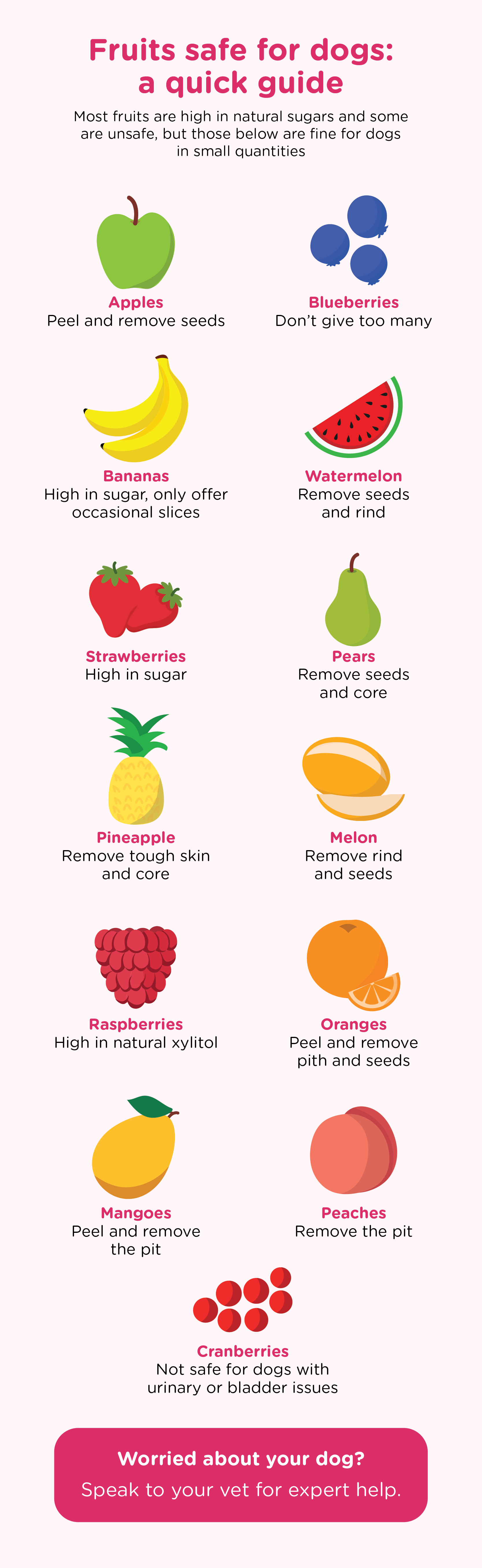 Infographic accompanying an article on safe fruits for dogs. The article content has been turned into a micro-guide, showing the following fruits safe for dogs: apples, blueberries, bananas, watermelon, strawberries, pears, pineapple, melon, raspberries, oranges, mangoes, peaches, and cranberries. Consult your vet for dog dietary advice.