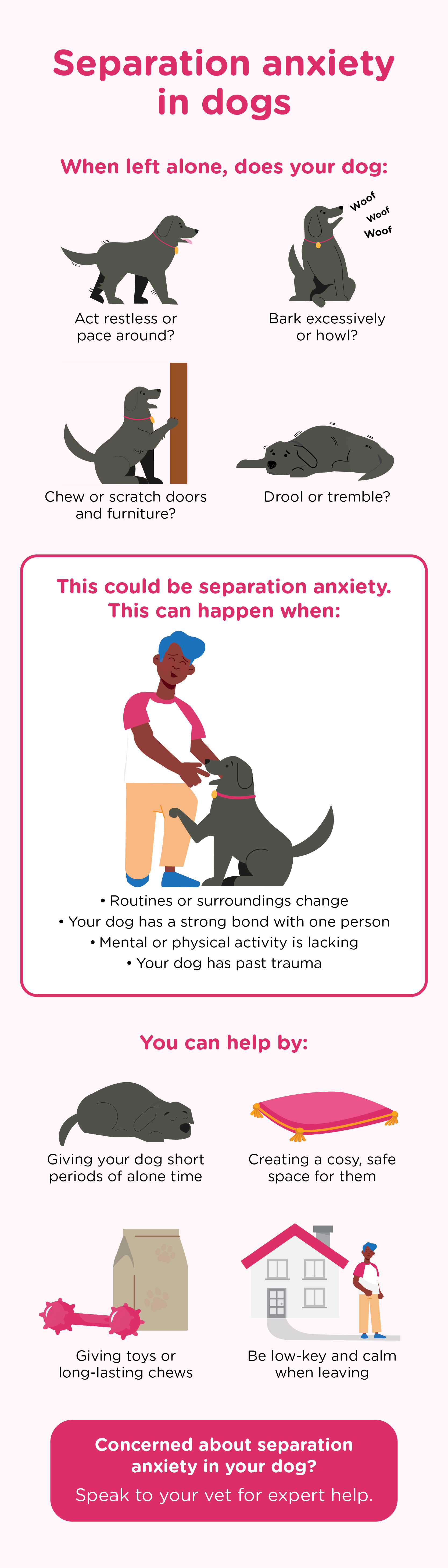 Infographic accompanying an article on anxiety in dogs. The infographic focuses on separation anxiety, explaining the signs that suggest this condition. These include restlessness, excessive barking, chewing, and drooling. The infographic also provides tips on helping dogs with separation anxiety, such as giving toys, creating a cosy space, and being calm when leaving. Consult your vet for expert advice on separation anxiety in dogs.