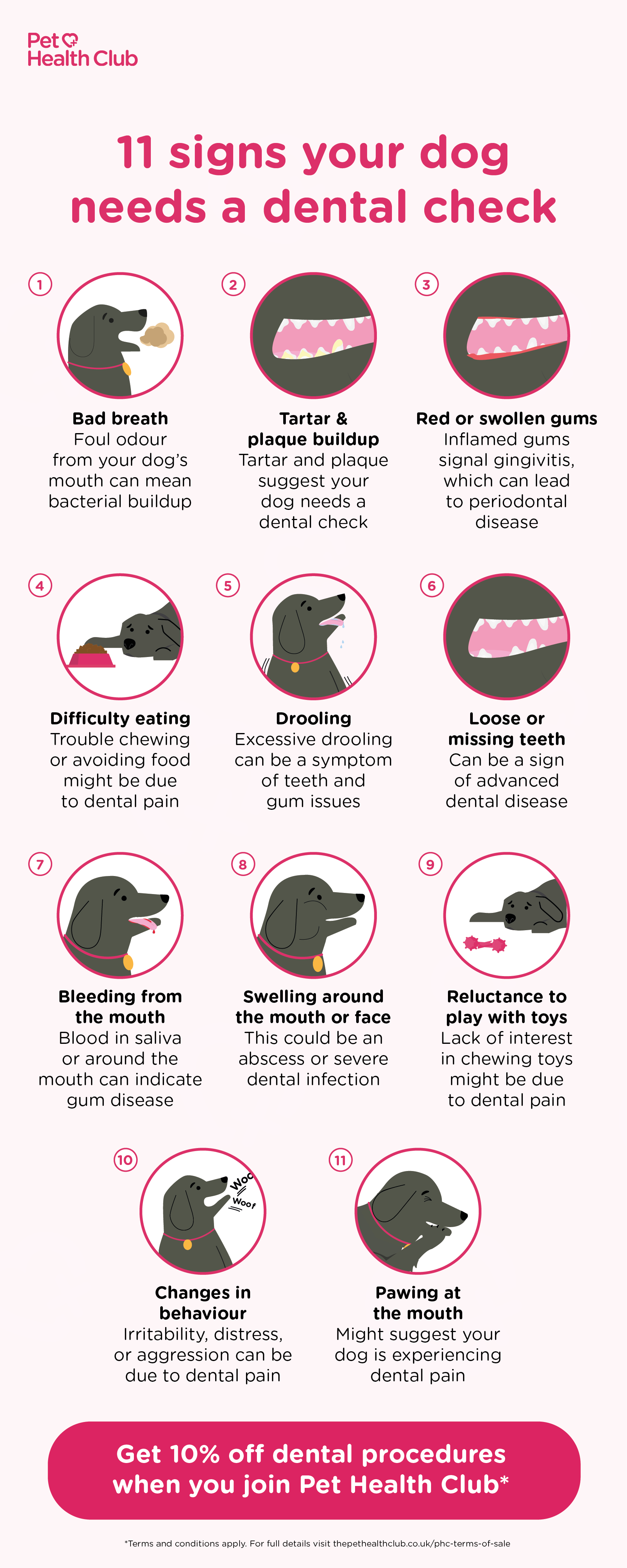 Infographic detailing 11 signs your dog needs a dental check, which include bad breath, tartar buildup, swollen gums, difficulty eating, drooling, bleeding, and pawing at the mouth. These symptoms all indicate potential dog dental disease.