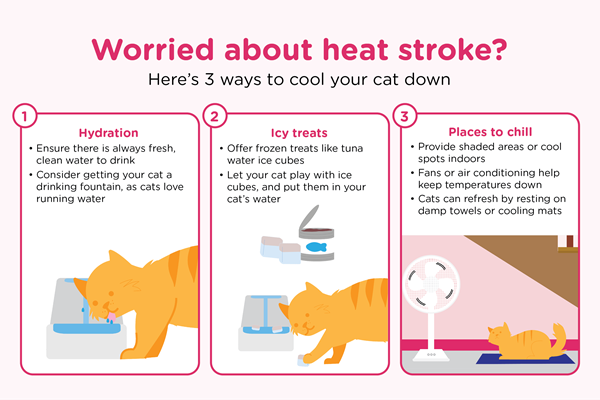 An infographic titled 'Worried about heat stroke? Here's 3 ways to cool your cat down'. The first tip is about keeping your cat hydrated by ensuring they always have fresh, clean water to drink. It also advises cat owners to consider getting a drinking fountain, as cats love running water. The second tip is titled 'Icy treats', and it encourages cat owners to try out creating tuna water ice cubes by freezing the water from a can of tuna. It also encourages owners to let their cats play with these ice cubes on the floor, and to put them into their cat's water bowl. The third tip is titled 'Places to chill' and states that cat owners should provide shaded areas or cool spots indoors for their cats. It also states that fans and air conditioning help bring temperatures down during the hot summer months, and that cats can refresh themselves by resting on damp towels or cooling mats.