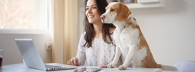 woman sat at her laptop with her dog