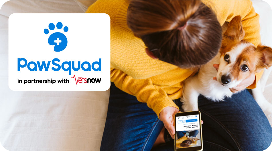 PawSquad offer online vet consultations