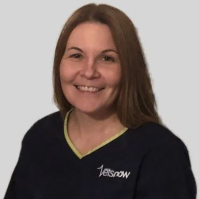 photo of vet