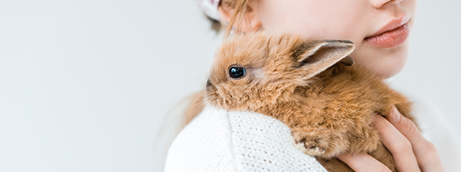 snuffles-in-rabbits-help-my-rabbit-has-snuffles-my-family-vets