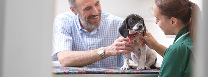 Pet Health Clubs - Save Money on Pet Health - My Family Vets Pet Health Clubs - Save Money on Pet Health - My Family Vets